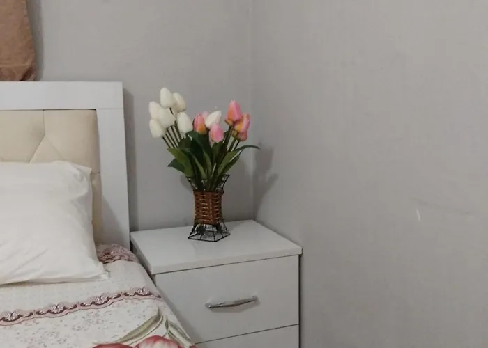 Couette-café Metohu Guest *