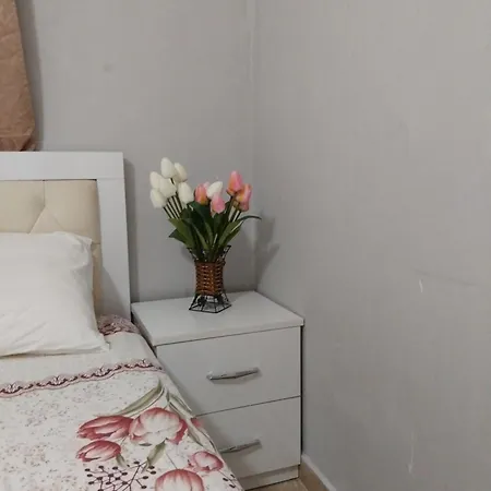 Frühstückspension Metohu Guest *